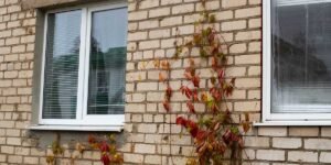 Exterior brick wall with newly replaced white vinyl windows.